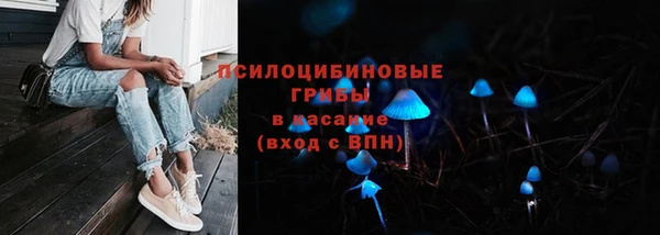 гидропоника Баксан