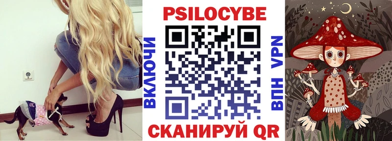 Галлюциногенные грибы Psilocybe  Купить  Лахденпохья 